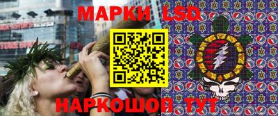 хмурый Майкоп