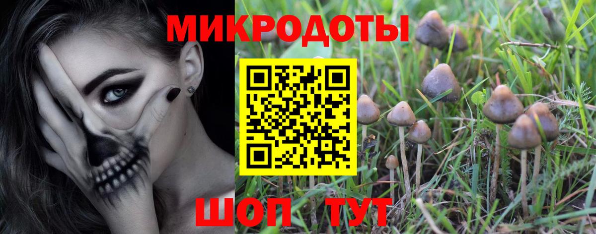 Псилоцибиновые грибы мухоморы  Вход с VPN  Костомукша 